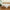 Organic Bamboo Lyocell Duvet