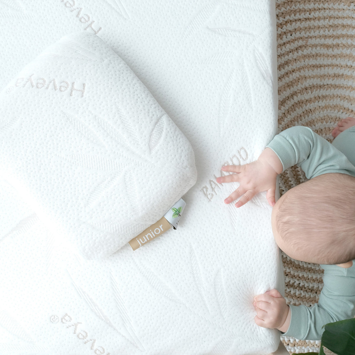 Donut pillow for infant online
