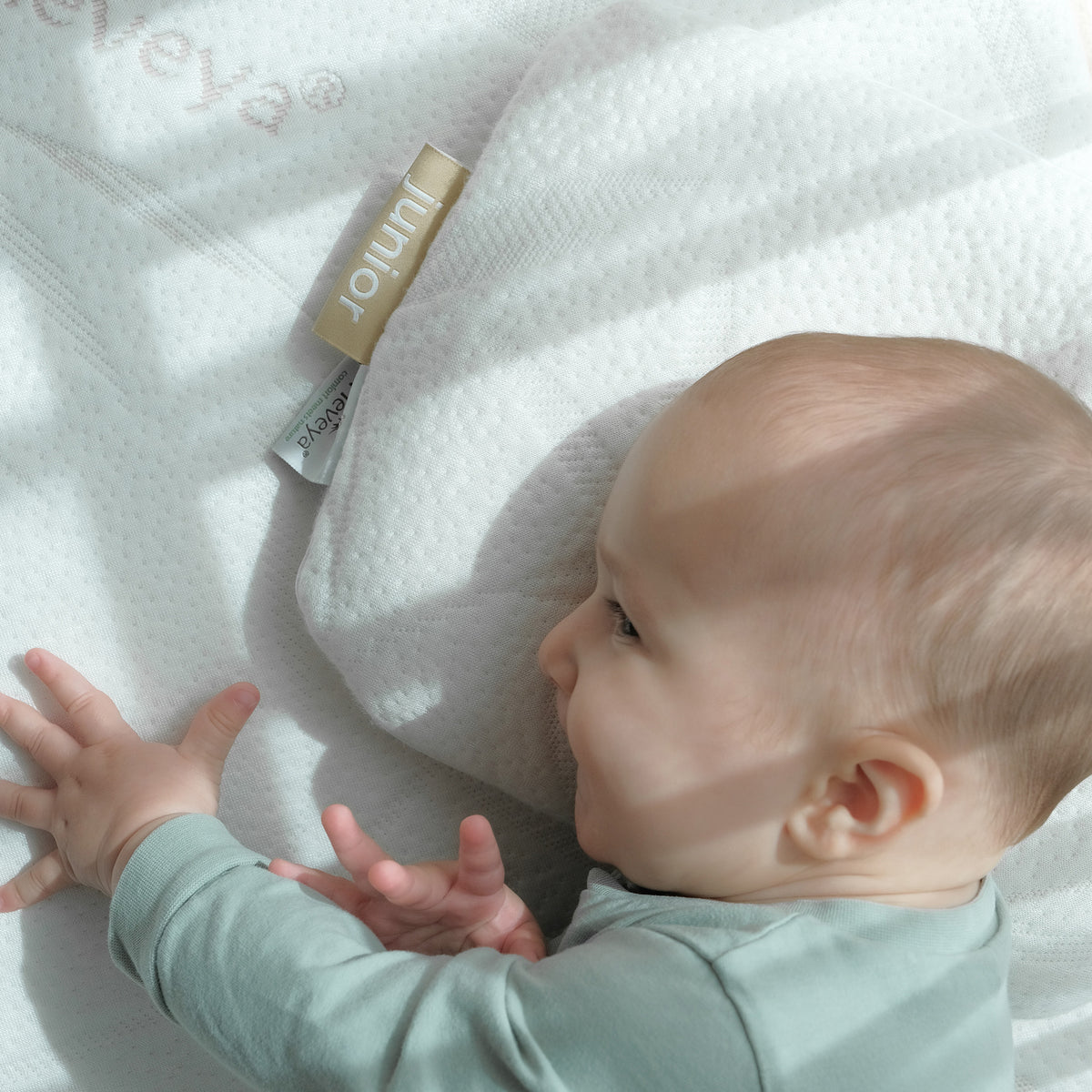 Baby Donut Pillow Heveya Singapore