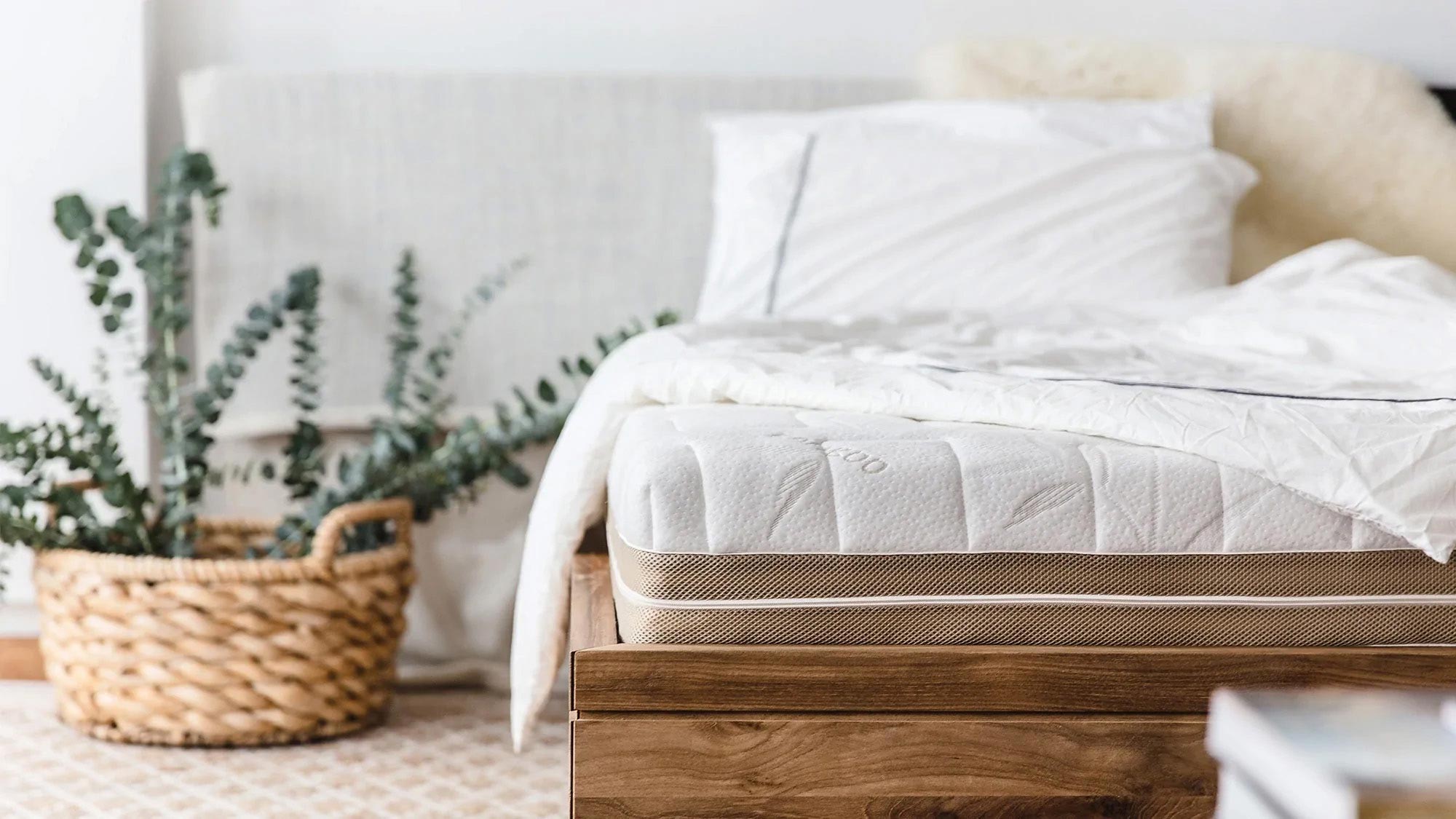 The Pros and Cons of Latex Mattresses
