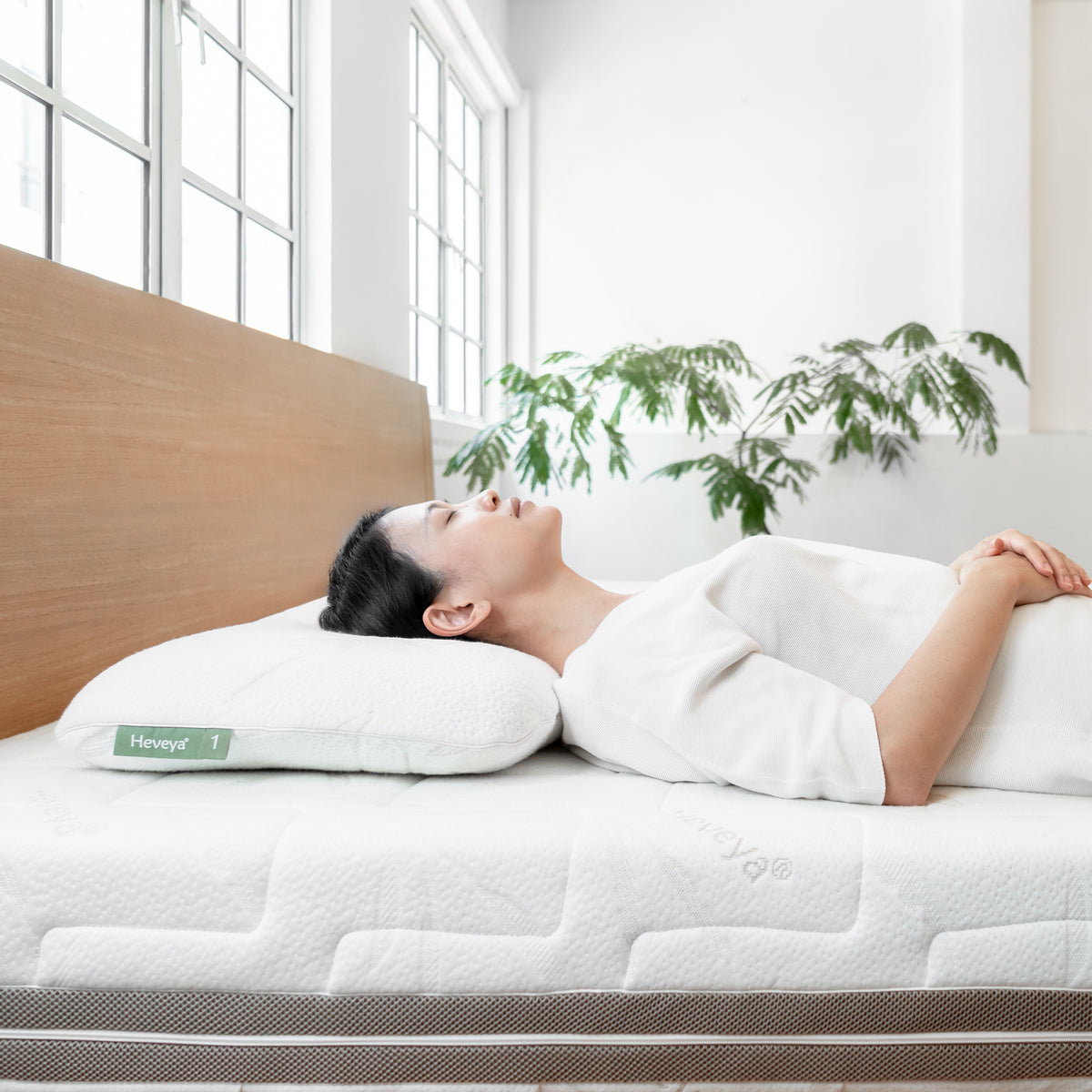 Natural Organic Latex Pillow 1