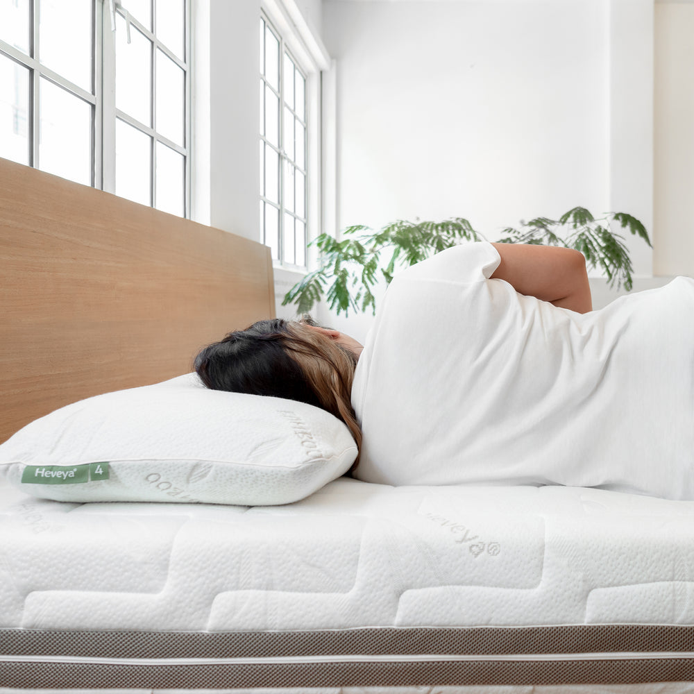 Medium Best Back Sleeper Pillow Heveya Heveya® SG